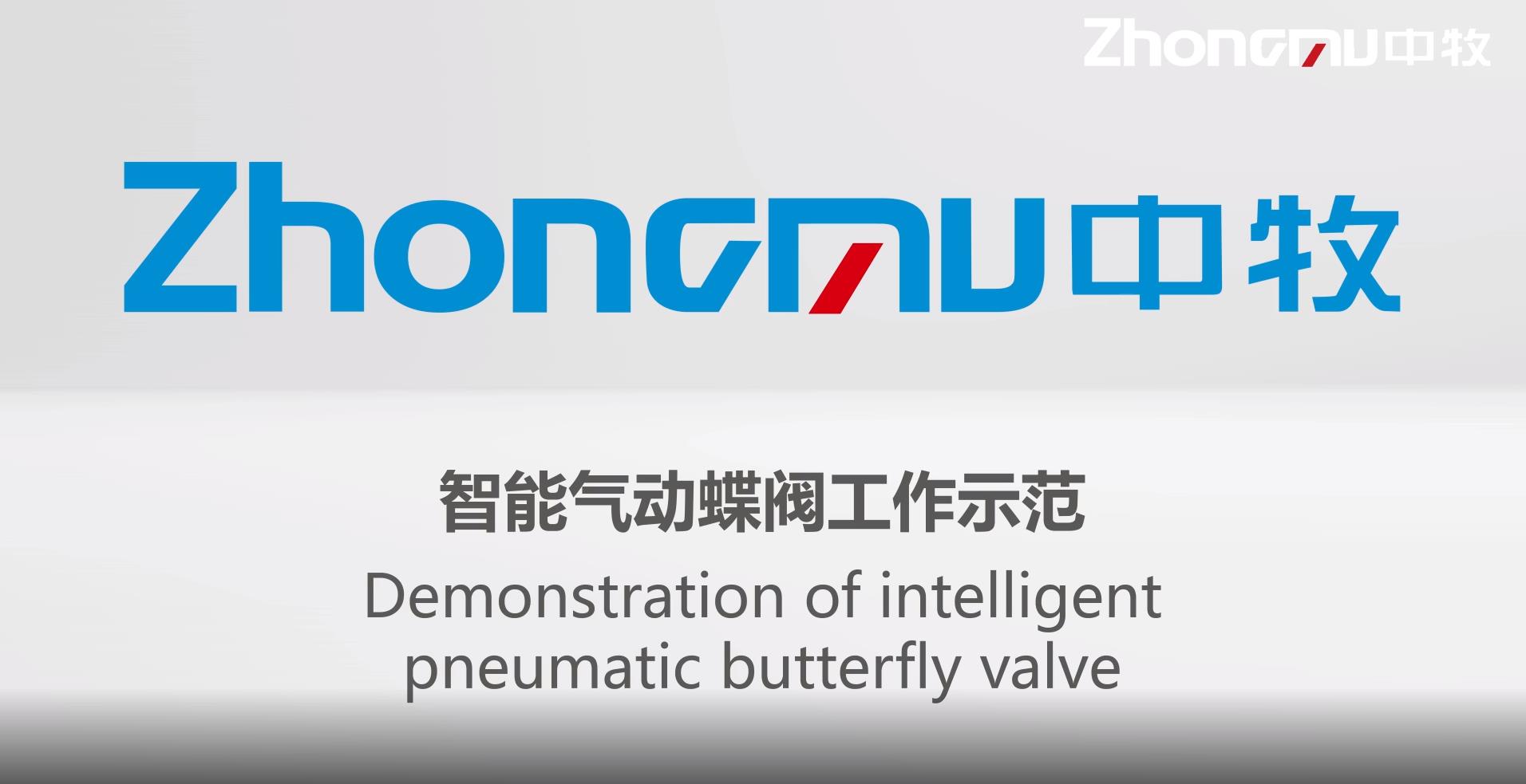 智能氣動(dòng)蝶閥工作示范